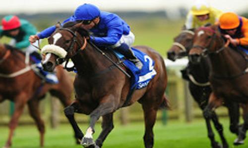 إعلان قائمة الخيول المشاركة بكأس دبي العالمي